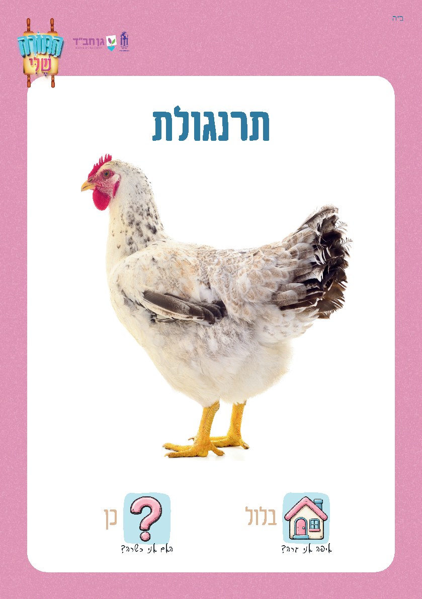 כרטיסי חיות טהורות ושאינן טהורות