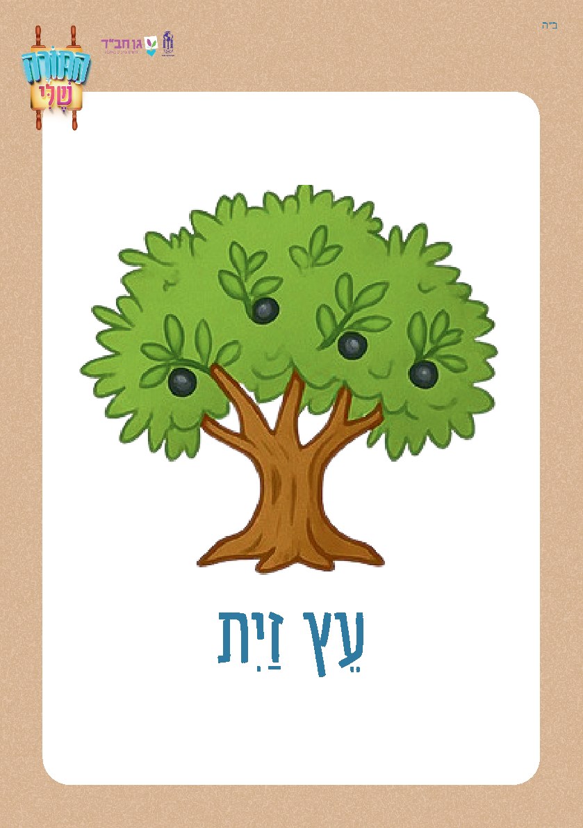 משחק קטגוריות - עצים