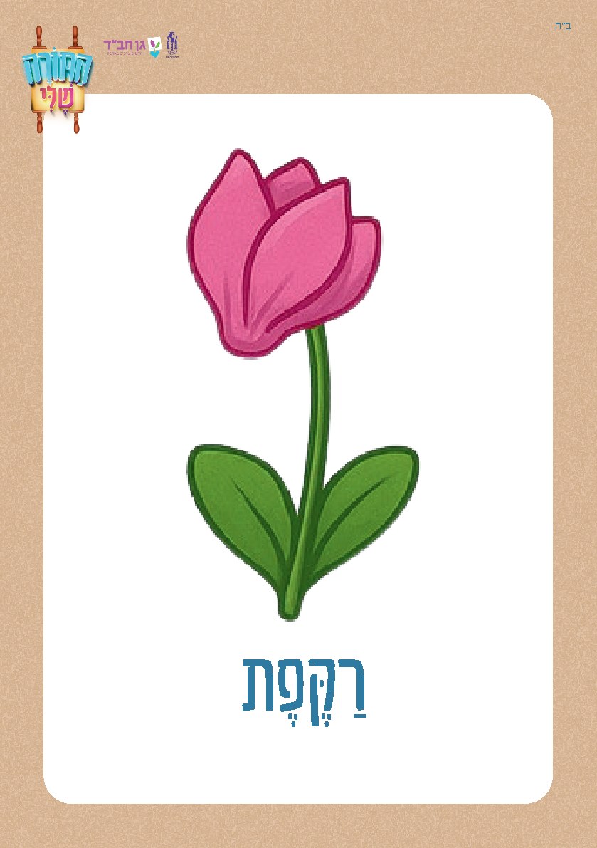 משחק קטגוריות - פרחים